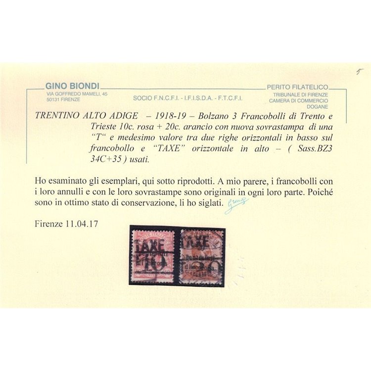 TRENTINO (BZ3) 1918-19 Trento e Trieste (TAXE + T con cifra) 2v us ©