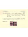 TRENTINO (BZ3) 1918-19 Trento e Trieste (TAXE + T con cifra) 2v us ©