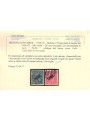 TRENTINO (BZ3) 1918-19 Francobolli di Austria (TAXE obliqua) 2v us ©