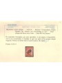 TRENTINO (BZ3) 1918-19 Michetti 20c arancio (TAXE obliqua) MNH** ©