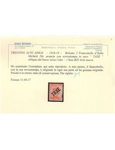 TRENTINO (BZ3) 1918-19 Michetti 20c arancio (TAXE obliqua) MH* ©