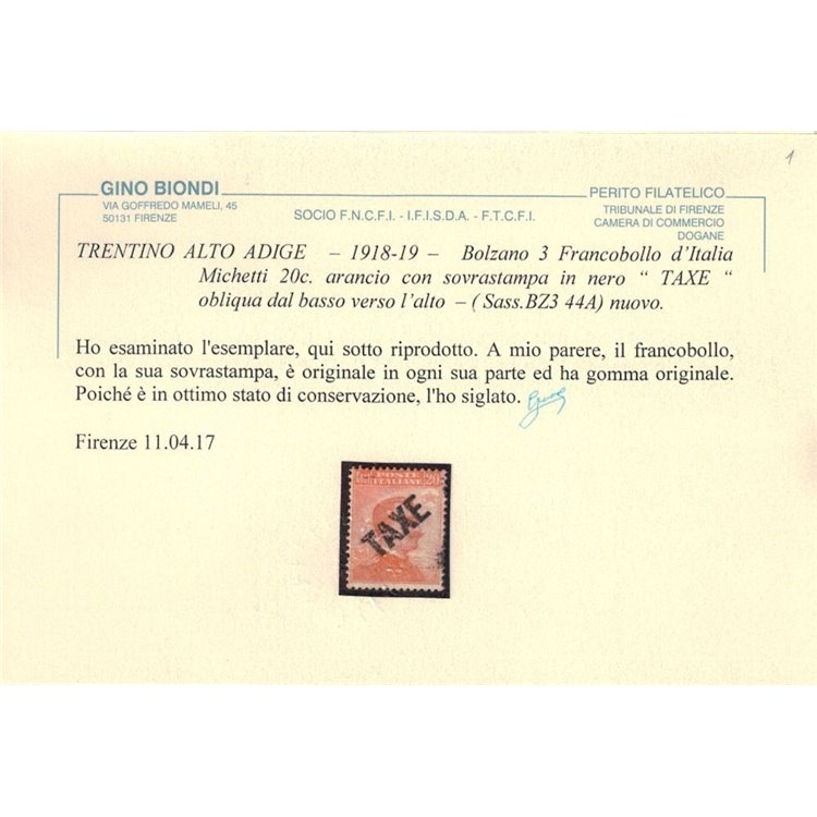 TRENTINO (BZ3) 1918-19 Michetti 20c arancio (TAXE obliqua) MH* ©