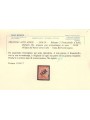 TRENTINO (BZ3) 1918-19 Michetti 20c arancio (TAXE obliqua) MH* ©