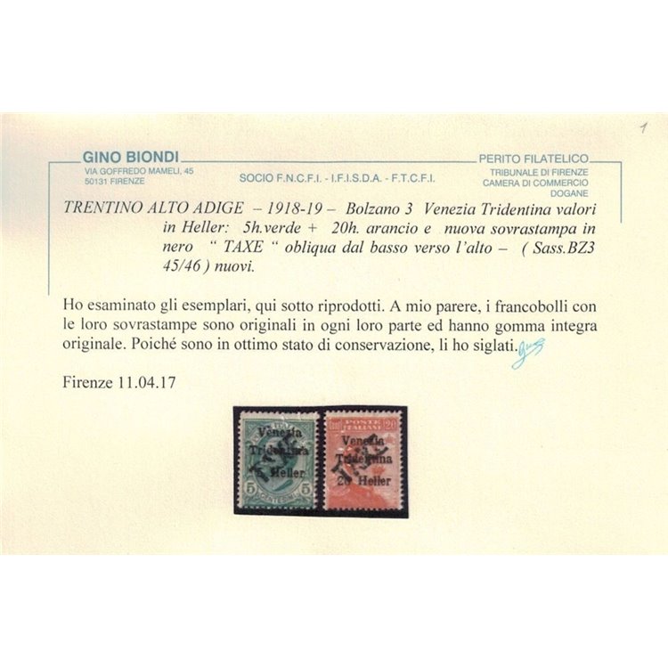 TRENTINO (BZ3) 1918-19 Venezia Tridentina (TAXE obliqua) 2v MNH** ©