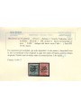 TRENTINO (BZ3) 1918-19 Venezia Tridentina (TAXE obliqua) 2v MNH** ©