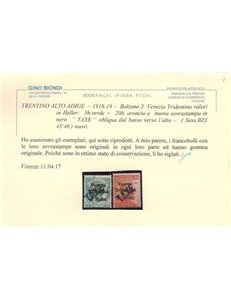 TRENTINO (BZ3) 1918-19 Venezia Tridentina (TAXE obliqua) 2v MH* ©