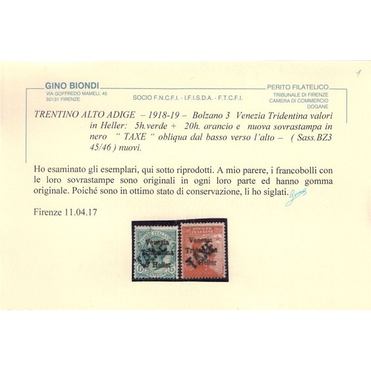 TRENTINO (BZ3) 1918-19 Venezia Tridentina (TAXE obliqua) 2v MH* ©