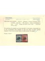 TRENTINO (BZ3) 1918-19 Venezia Tridentina (TAXE obliqua) 2v MH* ©