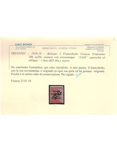 TRENTINO (BZ3) 1918-19 Varietà Venezia Tridentina (TAXE capov. e obliqua) MH* ©