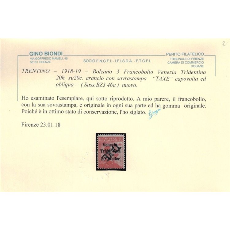 TRENTINO (BZ3) 1918-19 Varietà Venezia Tridentina (TAXE capov. e obliqua) MH* ©