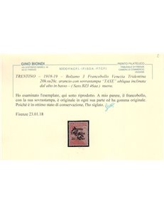 TRENTINO (BZ3) 1918-19 Varietà Venezia Tridentina (TAXE obliqua dall'alto in basso) MH* ©