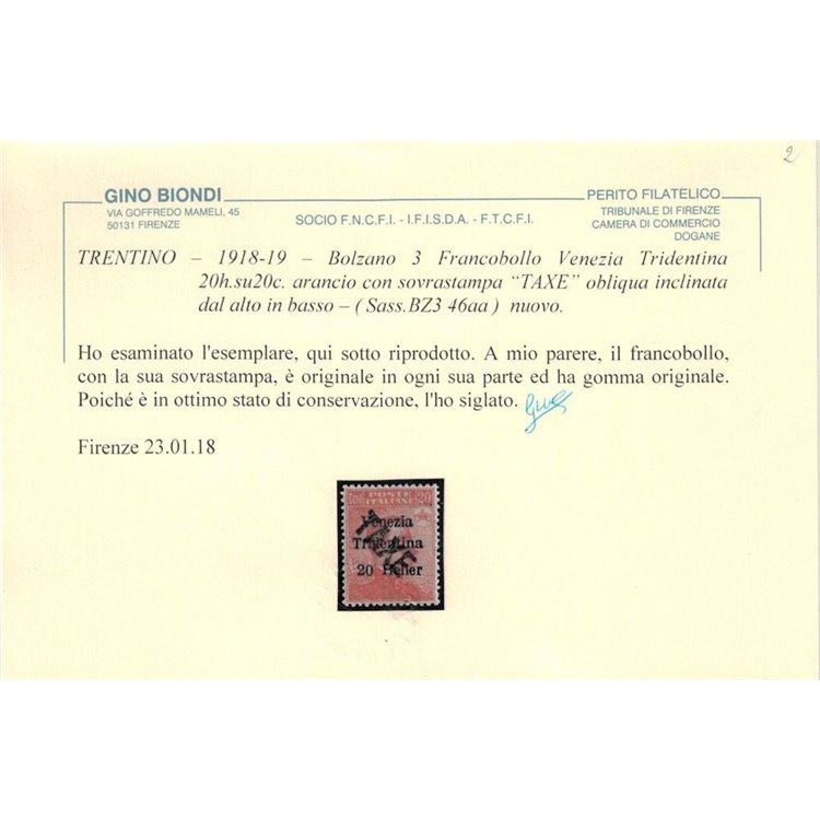 TRENTINO (BZ3) 1918-19 Varietà Venezia Tridentina (TAXE obliqua dall'alto in basso) MH* ©
