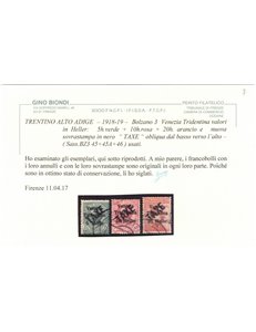TRENTINO (BZ3) 1918-19 Venezia Tridentina (TAXE obliqua) 3v us ©