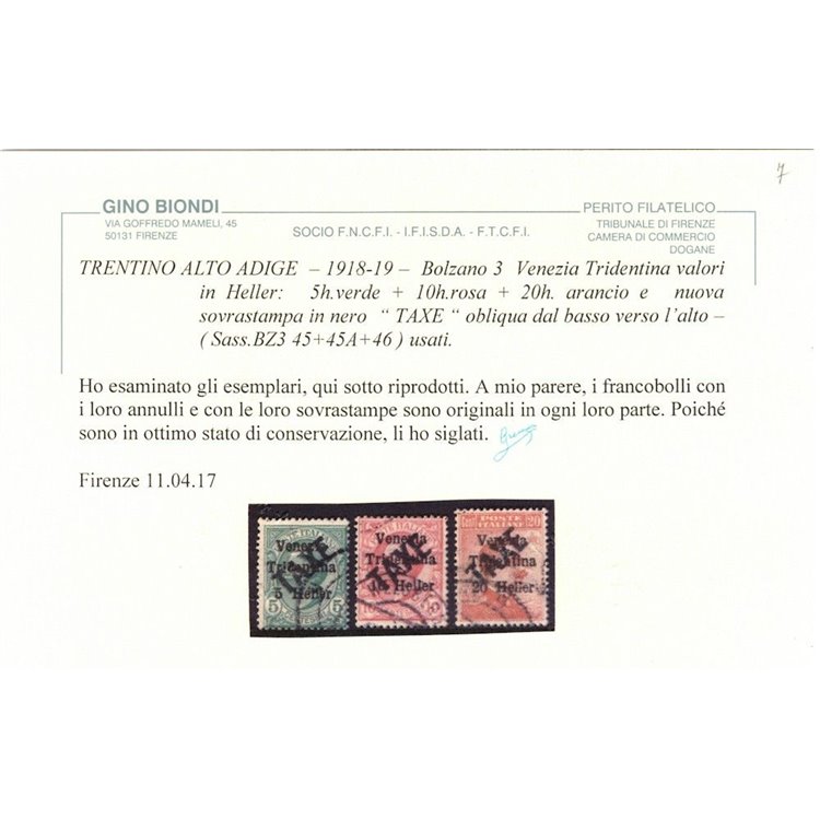 TRENTINO (BZ3) 1918-19 Venezia Tridentina (TAXE obliqua) 3v us ©