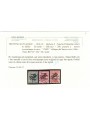 TRENTINO (BZ3) 1918-19 Venezia Tridentina (TAXE obliqua) 3v us ©