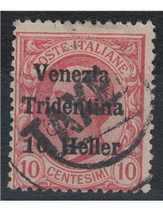 TRENTINO (BZ3) 1918-19 Venezia Tridentina 10h pink (TAXE oblique) us ©