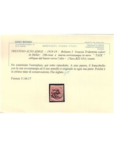 TRENTINO (BZ3) 1918-19 Venezia Tridentina 10h rosa (TAXE obliqua) us ©