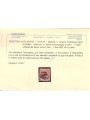 TRENTINO (BZ3) 1918-19 Venezia Tridentina 10h rosa (TAXE obliqua) us ©