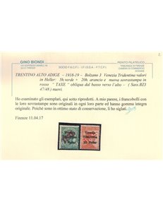 TRENTINO (BZ3) 1918-19 Venezia Tridentina (TAXE obliqua in rosso) 2v MNH** ©