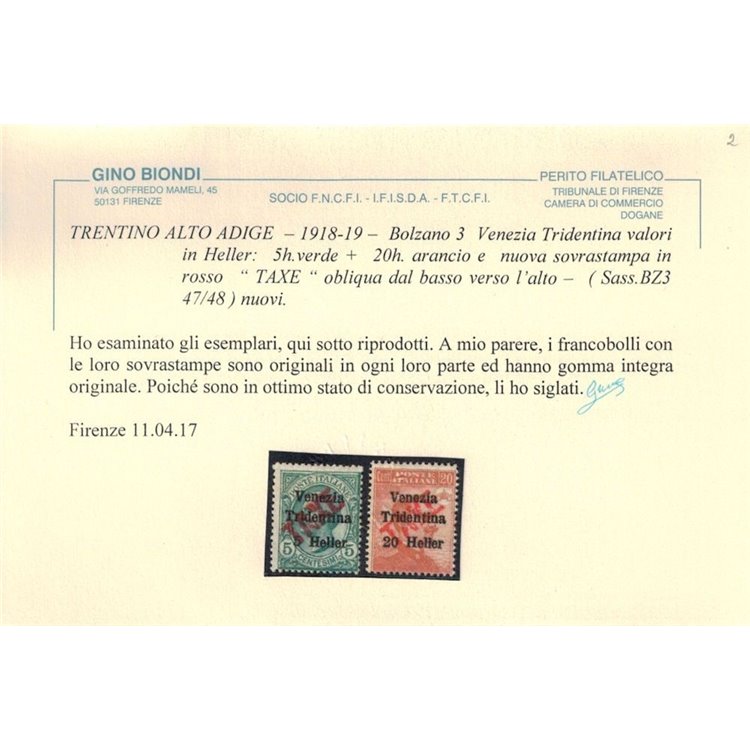 TRENTINO (BZ3) 1918-19 Venezia Tridentina (TAXE obliqua in rosso) 2v MNH** ©