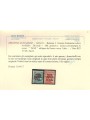 TRENTINO (BZ3) 1918-19 Venezia Tridentina (TAXE obliqua in rosso) 2v MNH** ©