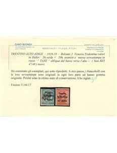 TRENTINO (BZ3) 1918-19 Venezia Tridentina (TAXE obliqua in rosso) 2v MH* ©