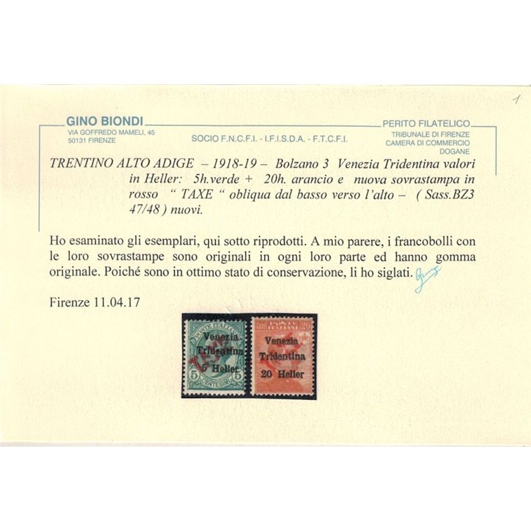 TRENTINO (BZ3) 1918-19 Venezia Tridentina (TAXE obliqua in rosso) 2v MH* ©