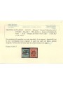 TRENTINO (BZ3) 1918-19 Venezia Tridentina (TAXE obliqua in rosso) 2v MH* ©