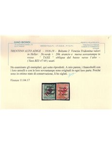 TRENTINO (BZ3) 1918-19 Venezia Tridentina (TAXE obliqua in rosso) 2v us ©