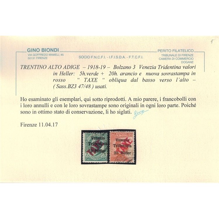 TRENTINO (BZ3) 1918-19 Venezia Tridentina (TAXE obliqua in rosso) 2v us ©
