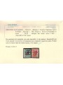 TRENTINO (BZ3) 1918-19 Venezia Tridentina (TAXE obliqua in rosso) 2v us ©