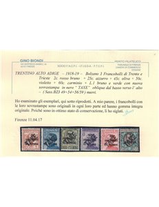 TRENTINO (BZ3) 1918-19 Trento e Trieste (TAXE obliqua) 11v MNH** ©