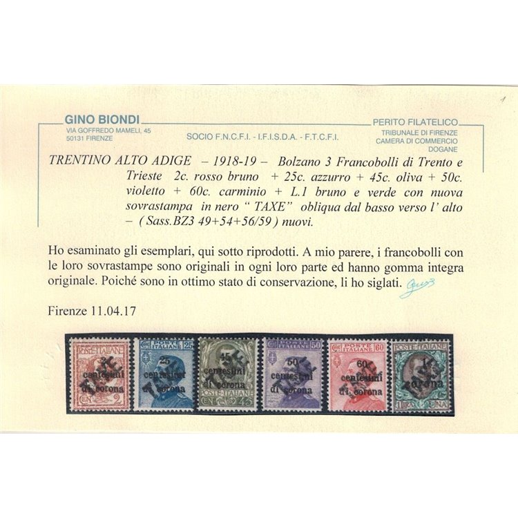 TRENTINO (BZ3) 1918-19 Trento e Trieste (TAXE obliqua) 11v MNH** ©