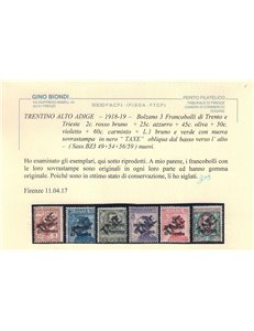 TRENTINO (BZ3) 1918-19 Trento e Trieste (TAXE obliqua) 11v MH* ©