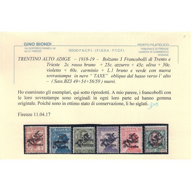 TRENTINO (BZ3) 1918-19 Trento e Trieste (TAXE obliqua) 11v MH* ©