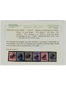 TRENTINO (BZ3) 1918-19 Trento e Trieste (TAXE obliqua) 11v us ©