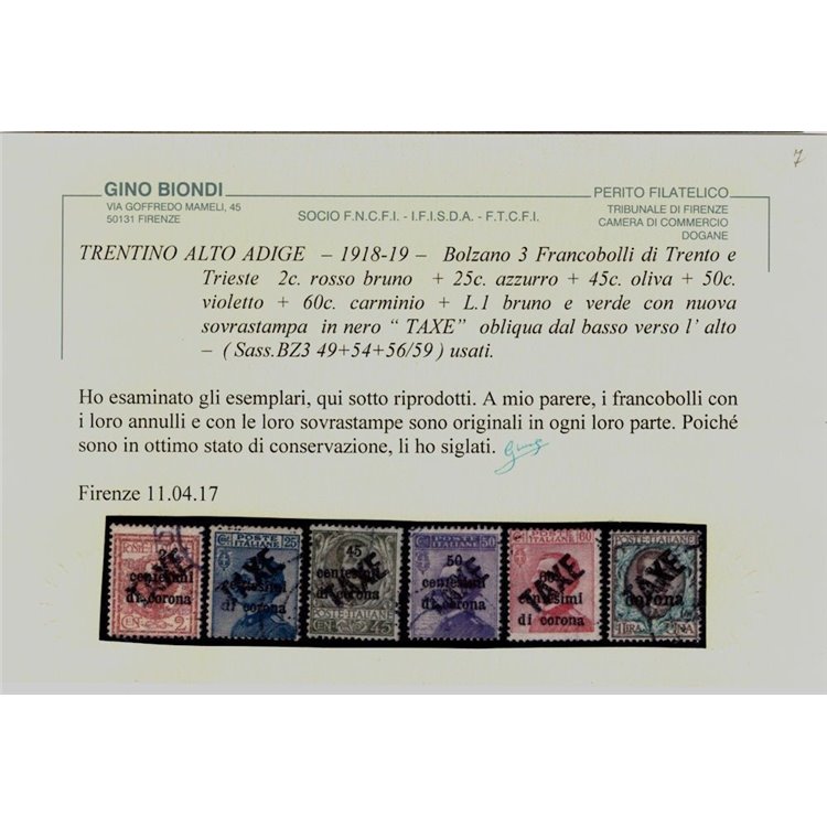 TRENTINO (BZ3) 1918-19 Trento e Trieste (TAXE obliqua) 11v us ©