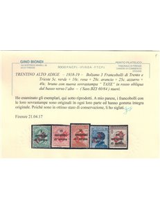 TRENTINO (BZ3) 1918-19 Trento e Trieste (TAXE obliqua in rosso) 5v MNH** ©