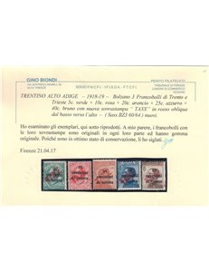 TRENTINO (BZ3) 1918-19 Trento e Trieste (TAXE obliqua in rosso) 5v MH* ©