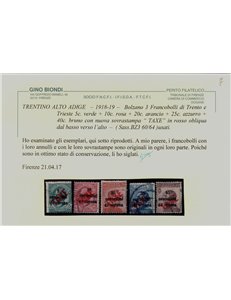 TRENTINO (BZ3) 1918-19 Trento e Trieste (TAXE obliqua in rosso) 5v us ©