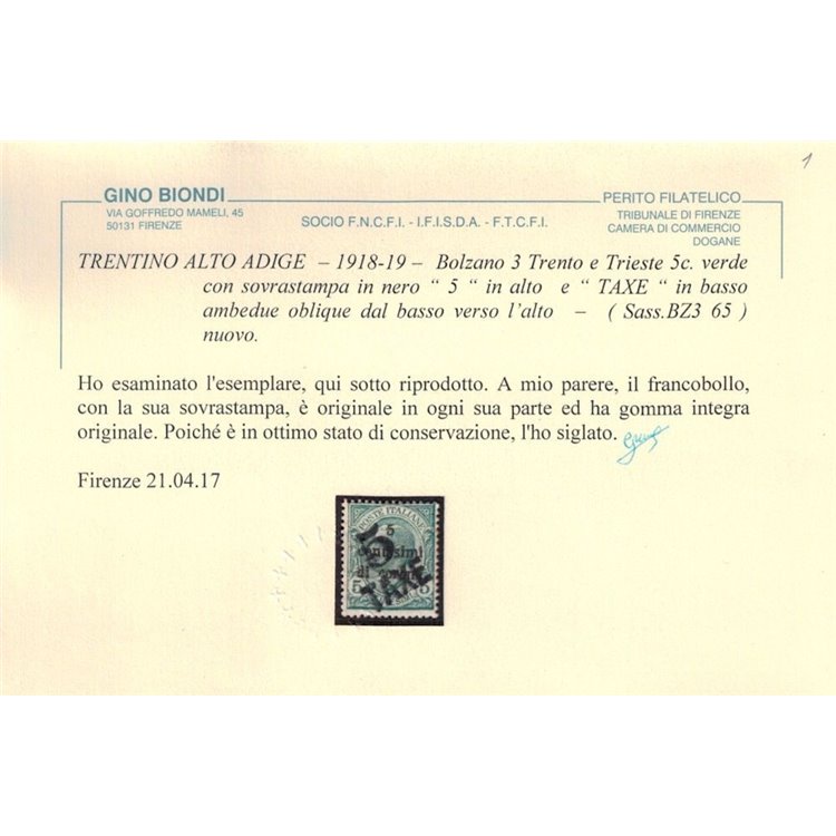 TRENTINO (BZ3) 1918-19 Trento e Trieste (TAXE e 5 obliqua) MNH** ©