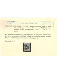 TRENTINO (BZ3) 1918-19 Trento e Trieste (TAXE e 5 obliqua) MH* ©