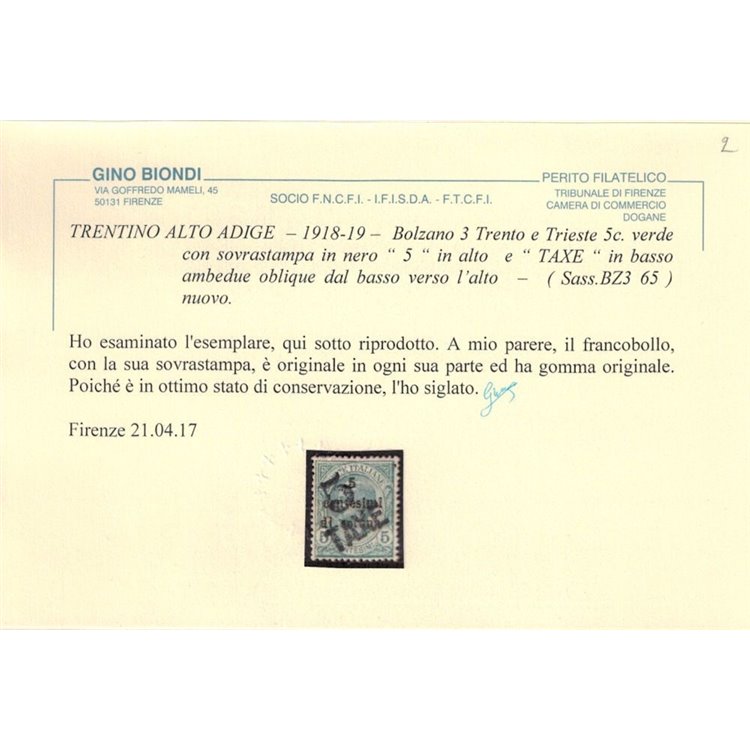 TRENTINO (BZ3) 1918-19 Trento e Trieste (TAXE e 5 obliqua) MH* ©