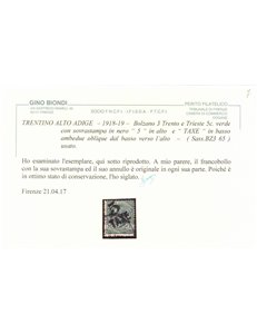 TRENTINO (BZ3) 1918-19 Trento e Trieste (TAXE e 5 obliqua) us ©