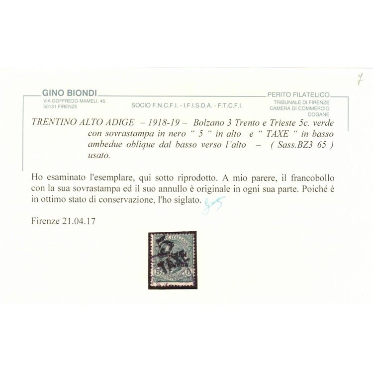 TRENTINO (BZ3) 1918-19 Trento e Trieste (TAXE e 5 obliqua) us ©