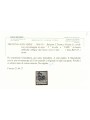 TRENTINO (BZ3) 1918-19 Trento e Trieste (TAXE e 5 obliqua) us ©