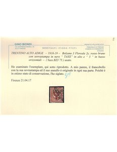 TRENTINO (BZ3) 1918-19 Floreale 2c (TAXE e cifre orizz.) us ©