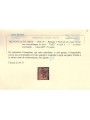 TRENTINO (BZ3) 1918-19 Floreale 2c (TAXE e cifre orizz.) us ©