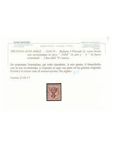 TRENTINO (BZ3) 1918-19 Floreale 2c (TAXE e cifre orizz.) MH* ©