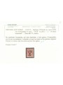 TRENTINO (BZ3) 1918-19 Floreale 2c (TAXE e cifre orizz.) MH* ©